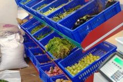 WhatsApp-Image-2020-08-27-at-20.27.32